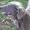 Photo of Barb M.