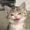 Photo of Doge E.