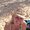 Photo of Tracy C.