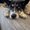 Photo of Yelper K.