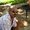 Photo of Noel L.