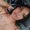 Photo of Andrese G.