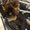 Photo of Myrielle B.