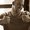 Photo of Jared P.