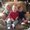 Photo of Donna D.