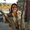 Photo of Laura Virtue M.