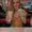 Photo of Caitlin K.