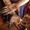 Photo of Harpreet K.