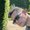 Photo of Tim M.