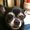 Photo of Debi D.
