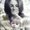 Photo of Cindy A.