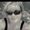 Photo of Sherry S.