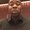 Photo of Cory A.