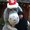 Photo of Lizbeth A.