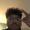 Photo of Jerrald S.