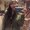 Photo of Airam M.