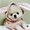 Photo of Chengcheng Q.