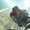 Photo of Nil C.