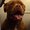 Photo of Kevin B.
