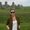 Photo of Katie H.