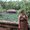 Photo of Anna N.