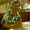 Photo of Alex A.