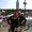 Photo of Lynda M.