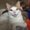Photo of Poppy S.