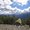 Photo of Avichal T.