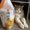 Photo of Breeze Y.