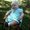 Photo of Bethany C.