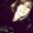 Photo of Ashlee J.