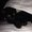 Photo of Cat M.