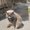 Photo of Pepper T.