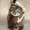 Photo of Cat C.