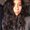 Photo of Celina T.