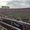 Photo of Ashley C.