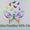 Photo of Kelly K.