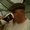 Photo of Cider P.