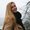 Photo of Emma S.