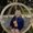 Photo of Liezel P.