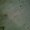 Photo of Nonya B.
