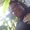 Photo of Dee S.