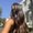 Photo of Lior D.
