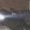 Photo of Alex P.