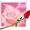 Photo of RK User (pina8…)