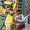 Photo of Jacob B.