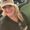 Photo of Karen M.