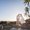 Photo of Susan F.