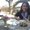 Photo of Elena M.